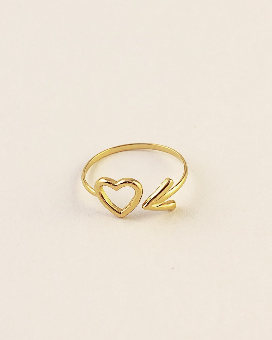 Anillo Acero Nisha