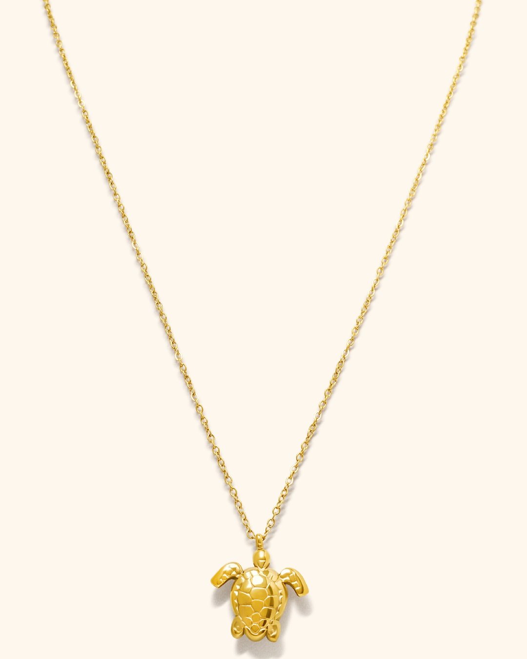 Collar Acero Tortuga