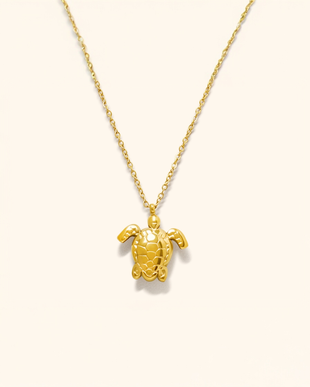 Collar Acero Tortuga