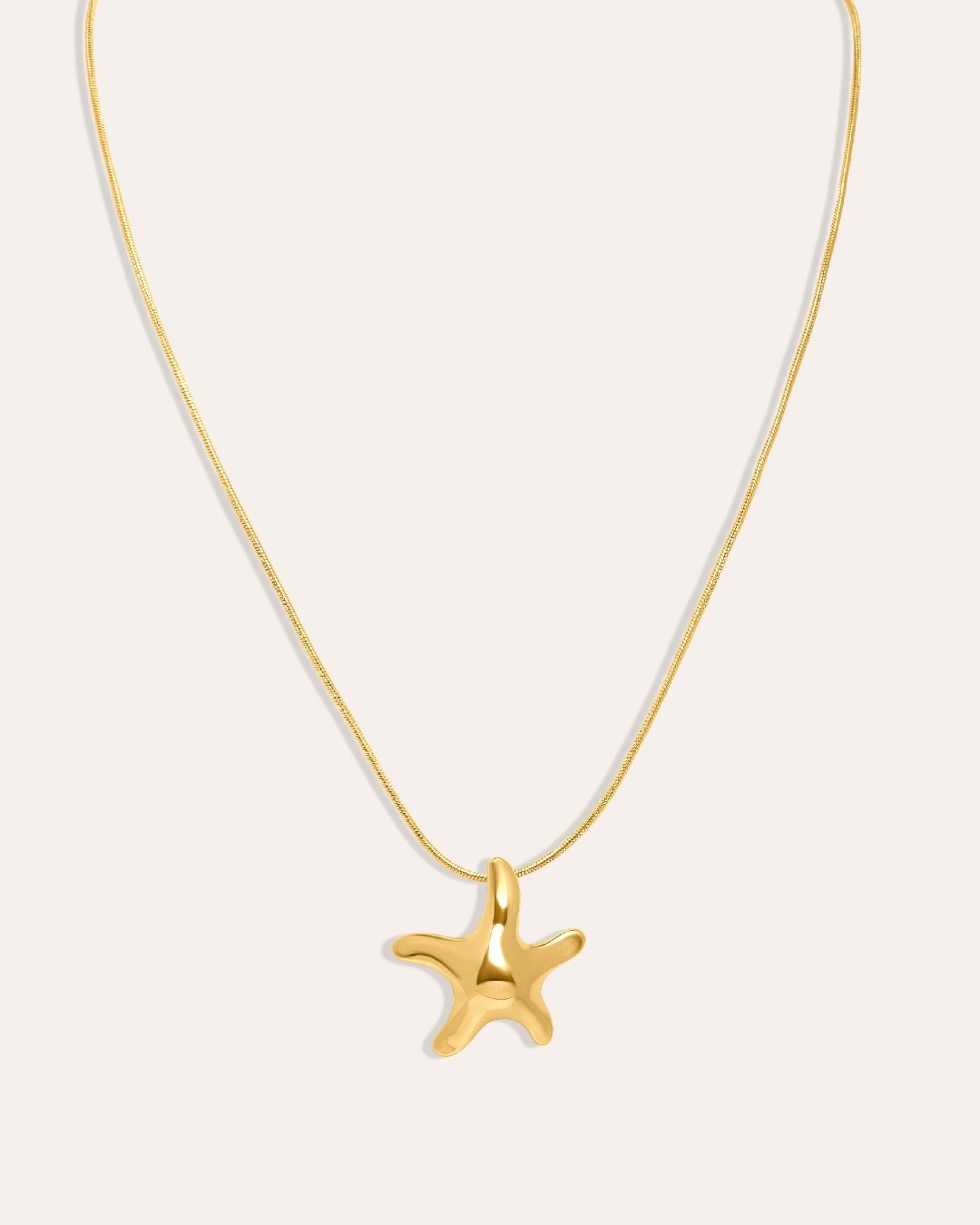 Collar Acero Starfish