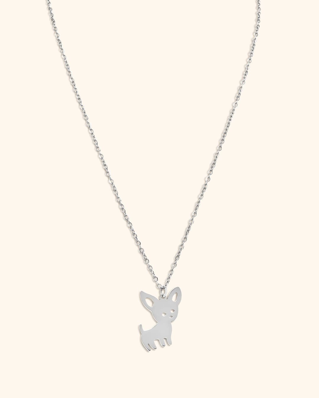 Collar Acero Chihuahua