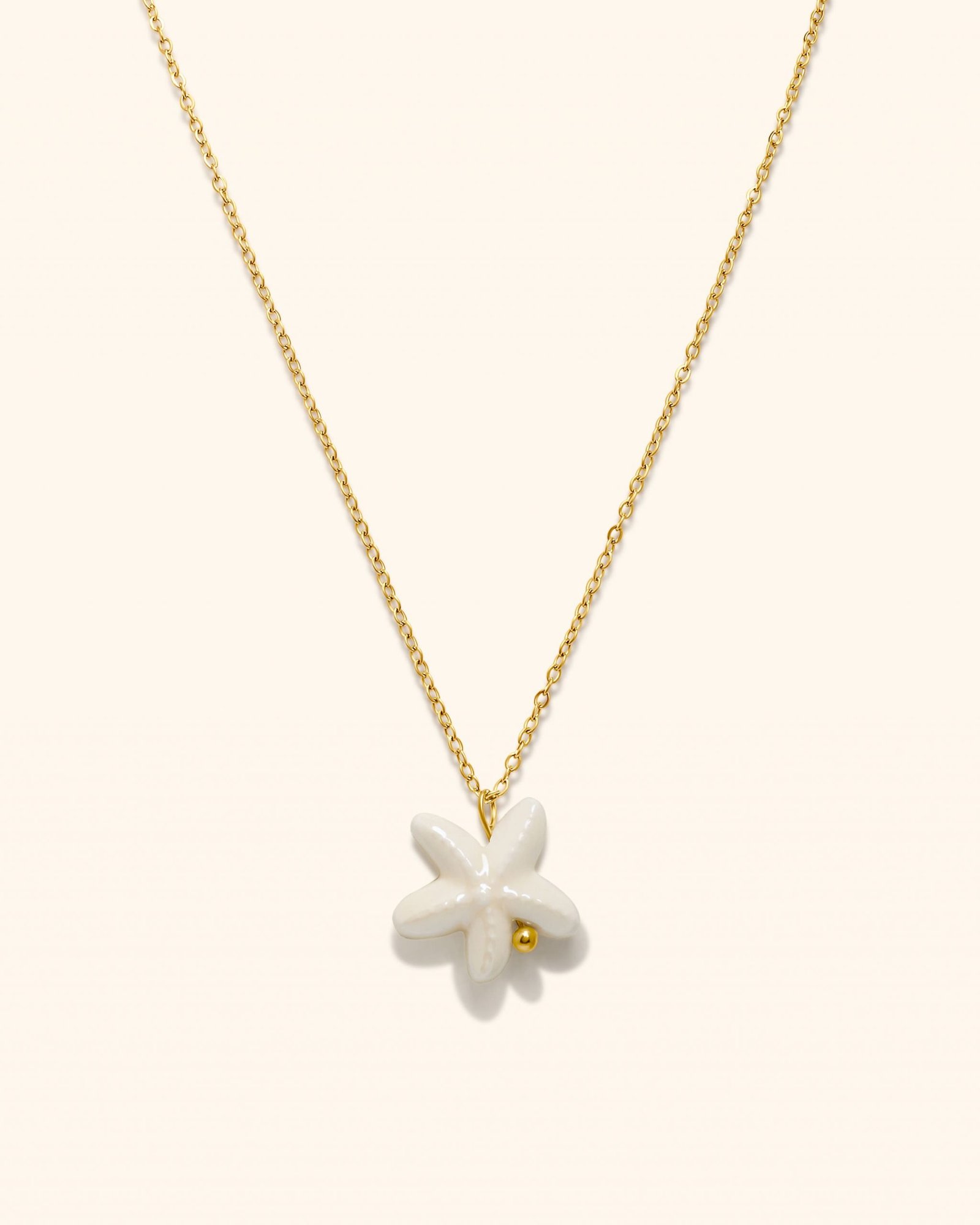 Collar Acero Starfish White