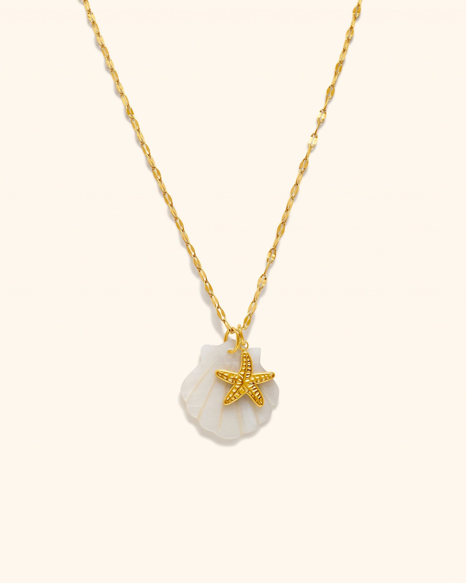 Collar Acero Pacifico