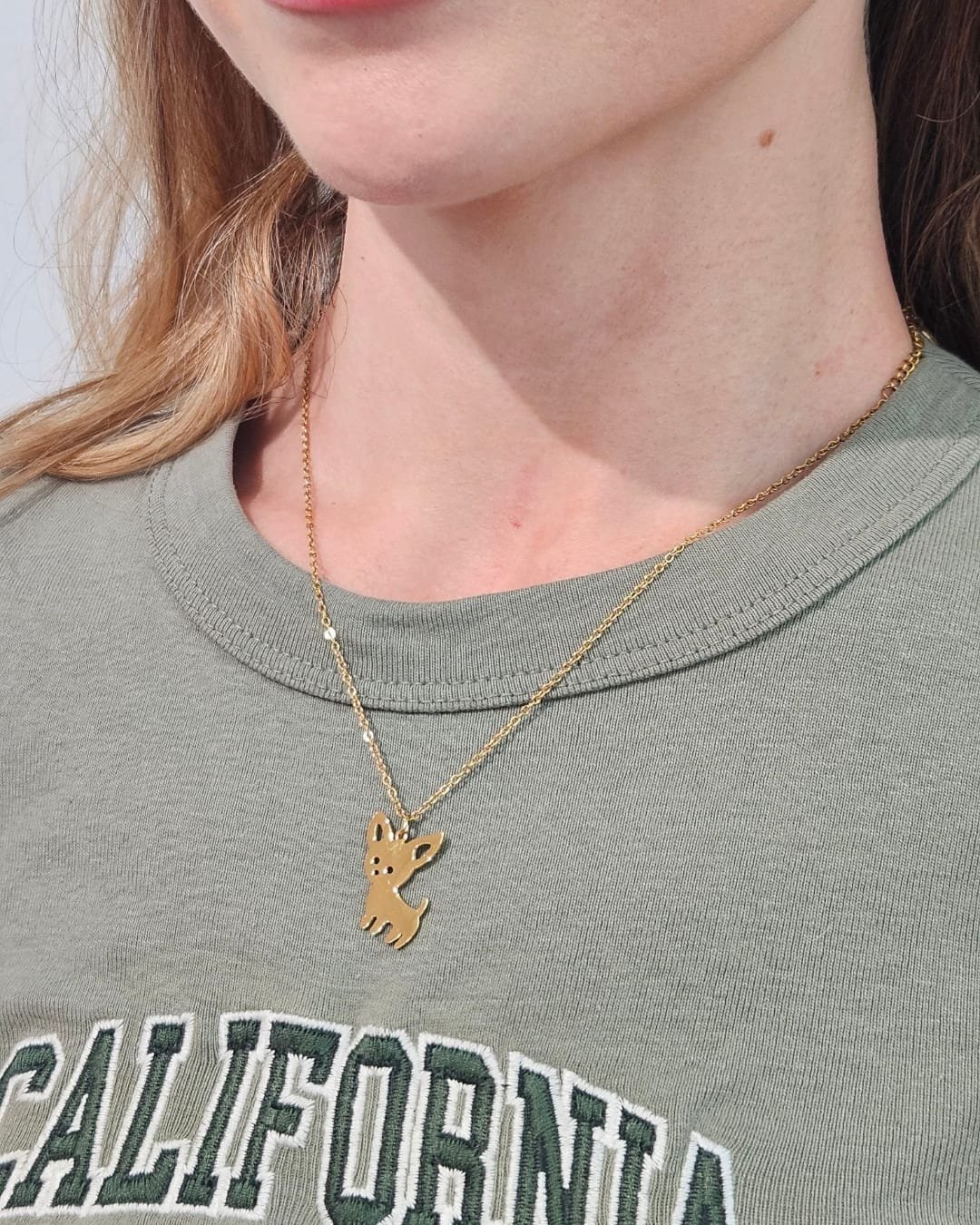 Collar Acero Chihuahua