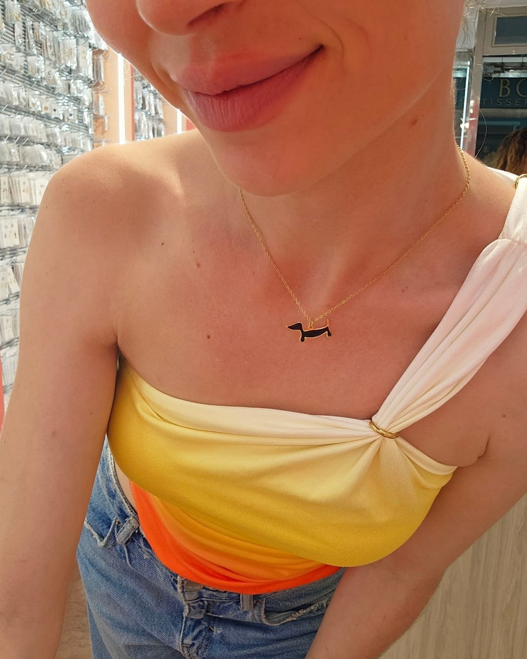 Collar Acero Teckel Esmaltado